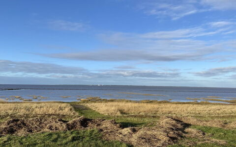 Tuki - 10Km from the Sea: Blauw, Struik, Verblijf, Groundcover, Tuin, Landgoed, Schaduw, Landscaping, Boerderij, Eco Hotel