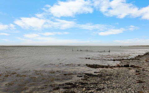 Kari - 50M from the Sea: Appartement, Condominium, Landgoed, Balkon, Villa, Hotel