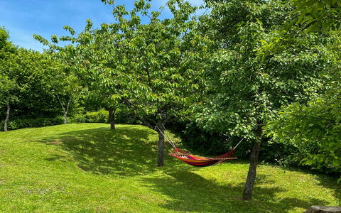 Maklen: Afdeling, Grasland, Tuin, Groundcover, Gazon, Trunk, Schaduw, Woody Plant, Weide
