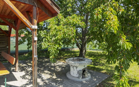 Gyula: Tuin, Schaduw, Woody Plant, Park, Werf, Gazon, Landscaping, Outdoor Structuur, Garden Gebouwen, Backyard