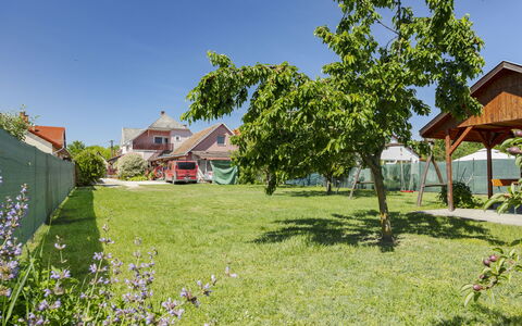 Gyula: Zomer, Tuin, Gazon, De Lente, Schaduw, Werf, Backyard, Park, Landscaping, Boerderij