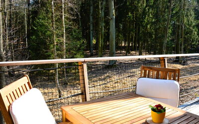 Accommodatie:&nbsp;Treehouse 1 3.1