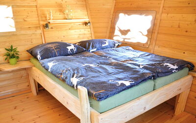 Accommodatie:&nbsp;Treehouse 2 3.2