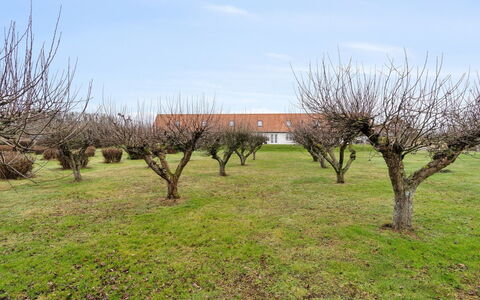 Markus - 300M from the Sea: Recreatie, Reclame, Park, Banner, Teken, Pad