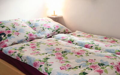 Accommodatie:&nbsp;Luise 200.1