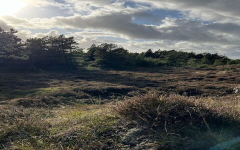 Ibbe - 3.5Km from the Sea: Lucht, Wolk, Gras, Natuurlijke Omgeving, Vegetation, Grasland, Struik, Ecoregio, Wildernis, Cumulus