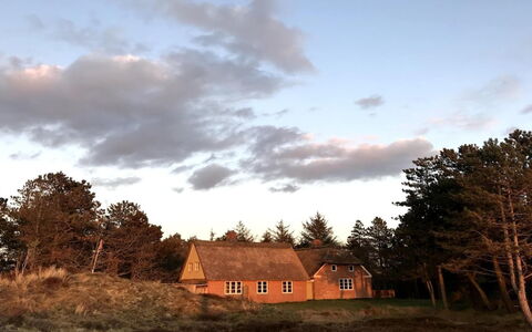 Ibbe - 3.5Km from the Sea: Landgoed, Schaduw, Oprit, Boerderij