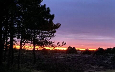 Ibbe - 3.5Km from the Sea: Lucht, Afdeling, Natuur, Blad, Afterglow, Natuurlijk Landschap, Schemer, Zonsondergang, Horizon, Oranje