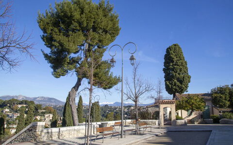 Cagnes Provencal: Boom, Openbare Ruimte, Schaduw, Gang, Evergreen, Landscaping, Pine Family