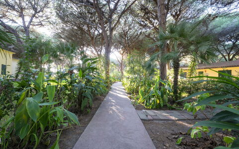 Nature & Country Resort Near The sea: Vegetation, Tuin, Woody Plant, Schaduw, Trail, Landscaping, Gang, Botanische Tuin, Oprit, Plantage