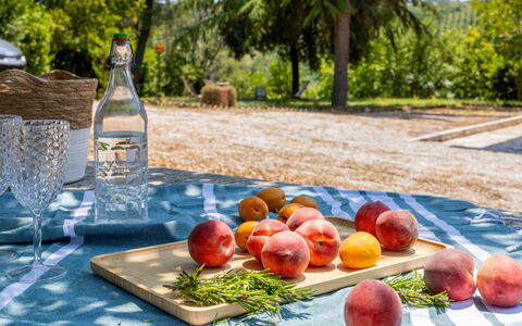 Casa Iume: Fruit, Produceren, Voedsel, Tableware, Natuurlijke Voedingsmiddelen, Appel, Tafelkleed, Perzik, Picknick