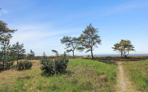 Eick - 800M from the Sea: Appartement, Condominium, Landgoed, Balkon, Villa, Hotel