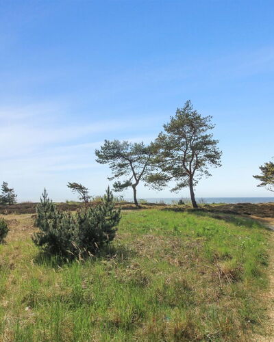 Eick - 800M from the Sea