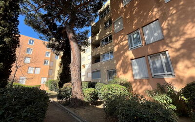 Sainte Maxime 456: Blauw, Stoel, Buitenmeubels, Ontwerp, Schaduw, Buitentafel, Eco Hotel, Patio, Kamerplant, Daylighting