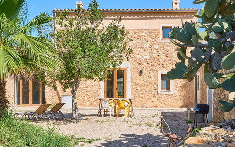 Ca'N Galeri: 