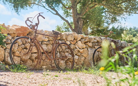 Ca'N Galeri: Wiel, Fiets, Fietswiel, Fiets Voorvork