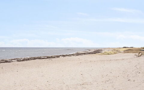 Akira - 250M from the Sea: Dak, Huis, Huis, Verblijf, Deur, Siding, Dek, Veranda, Plank, Hardwood