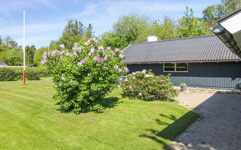 Rosalie - 29Km from the Sea: Landgoed, Schaduw, Oprit, Boerderij