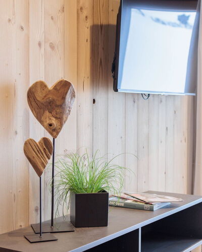 Mountain Suite Nr 102 71.2