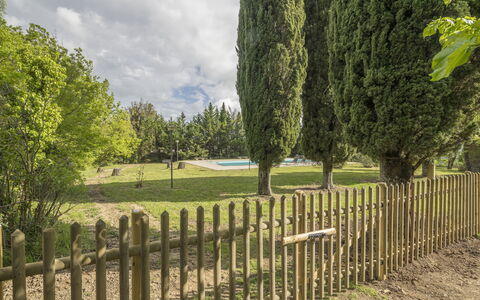Cottage Monti Pet Friendly With Shared Pool: Gras, Hek, Grasland, Trunk, Woody Plant, Tuin, Home Schermen, Weide, Gazon