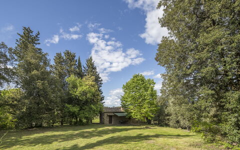 Cottage Monti Pet Friendly With Shared Pool: Boom, Gras, Blad, Natuurlijke Omgeving, Afdeling, Natuur, Vegetation, Struik, Grasland, Landschap