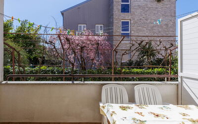 Accommodatie:&nbsp;Zoki 1 221.1