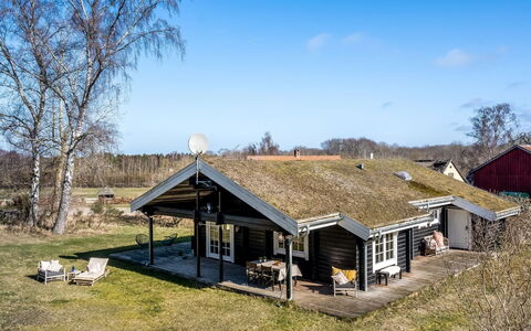 Franka - from the Sea: Vegetation, Struik, De Lente, Verblijf, Tuin, Schaduw, Backyard, Werf, Stoel