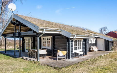 Franka - from the Sea: Vegetation, Struik, De Lente, Verblijf, Tuin, Schaduw, Backyard, Werf, Stoel
