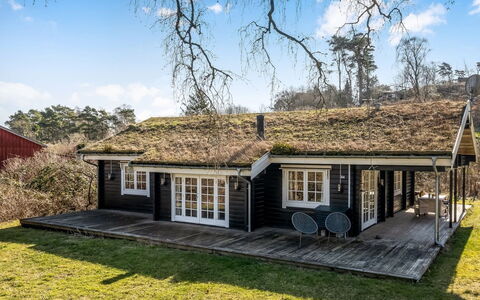 Franka - from the Sea: Vegetation, Struik, De Lente, Verblijf, Tuin, Schaduw, Backyard, Werf, Stoel