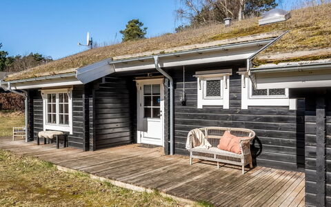 Franka - from the Sea: Vegetation, Struik, De Lente, Verblijf, Tuin, Schaduw, Backyard, Werf, Stoel