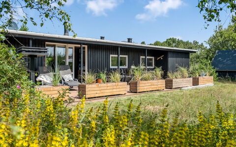 Fatima - 1Km from the Sea: Landgoed, Schaduw, Oprit, Boerderij