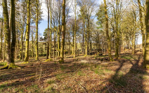Doonans Cottage: Blad, Afdeling, Boom, Natuurlijke Omgeving, Hout, Vegetation, Natuurlijk Landschap, Woud, Bosje, Ecoregio