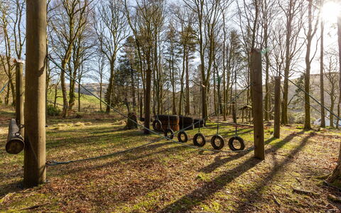 Balbeg Cottage: Boom, Natuurlijke Omgeving, Afdeling, Blad, Gras, Natuur, Hout, Natuurlijk Landschap, Trunk, Land Lot