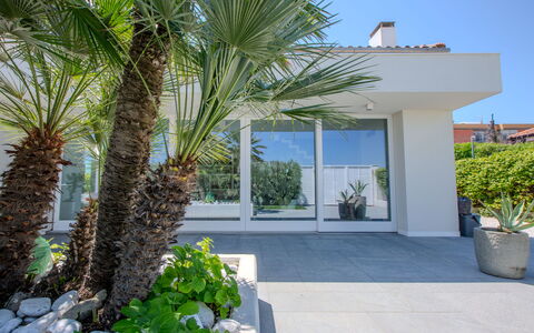 Villa Rosa Del Mare: Woody Plant, Tuin, Landscaping, Schaduw, Eco Hotel, Kamerplant, Tropen, Gang, Villa