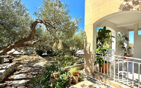 Appartamento Olive Garden, Ac, Wifi, Hvar: Struik, Tuin, Landgoed, Schaduw, Hacienda, Landscaping, Werf, Stoel, Backyard, Villa