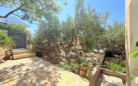 Appartamento Olive Garden, Ac, Wifi, Hvar: Struik, Tuin, Woody Plant, Schaduw, Landscaping, Backyard, Flagstone, Bodem, Werf, Binnenplaats