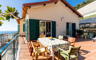 Casa Cycas