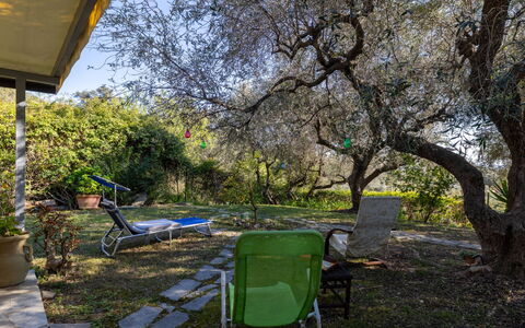 Villa degli Ulivi: Zwembad, Toevlucht, Samengesteld Materiaal, Recreatie, Vrije Tijd, Schaduw, Vakantie, Badplaats, Recreatiecentrum