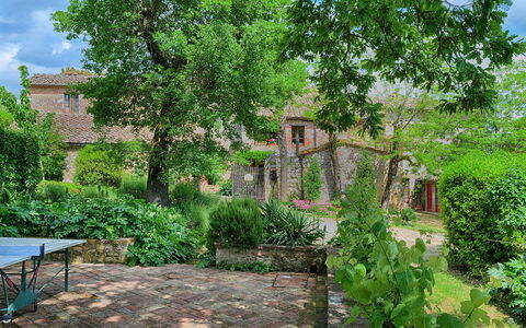 Podere Lorena, Charming Tuscan Farmhouse: Struik, Tuin, Backyard, Groundcover, De Lente, Verblijf, Landscaping, Steen, Werf