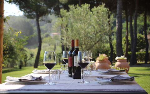 Villa Petrosa: Your Private Escape Overlooking the: Meubilair, Tableware, Tafel, Drinkware, Glaswerk, Buitenmeubels, Wijnglas, Barware, Wijn