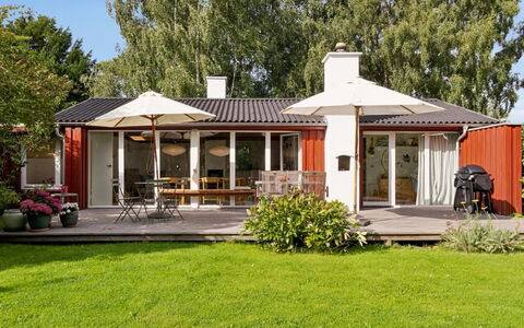 Lauri - 2.3Km from the Sea: Vegetation, Struik, De Lente, Verblijf, Tuin, Schaduw, Backyard, Werf, Stoel