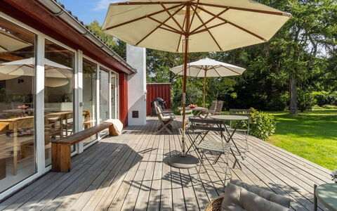 Lauri - 2.3Km from the Sea: Vegetation, Struik, De Lente, Verblijf, Tuin, Schaduw, Backyard, Werf, Stoel