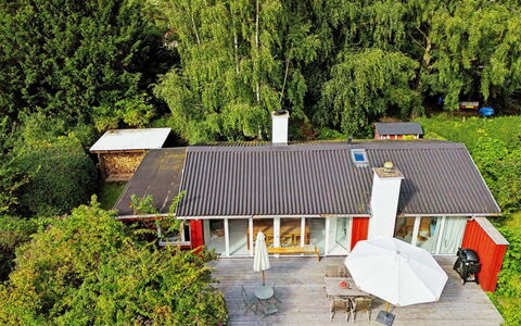 Lauri - 2.3Km from the Sea: Vegetation, Struik, De Lente, Verblijf, Tuin, Schaduw, Backyard, Werf, Stoel