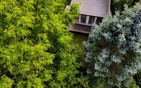 Lauri - 2.3Km from the Sea: Vegetation, Struik, De Lente, Verblijf, Tuin, Schaduw, Backyard, Werf, Stoel