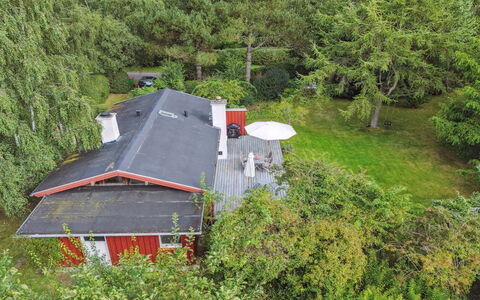 Lauri - 2.3Km from the Sea: Vegetation, Struik, De Lente, Verblijf, Tuin, Schaduw, Backyard, Werf, Stoel
