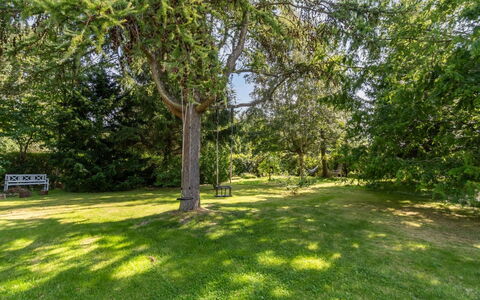 Lauri - 2.3Km from the Sea: Vegetation, Struik, De Lente, Verblijf, Tuin, Schaduw, Backyard, Werf, Stoel