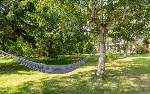 Lauri - 2.3Km from the Sea: Vegetation, Struik, De Lente, Verblijf, Tuin, Schaduw, Backyard, Werf, Stoel