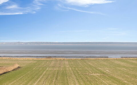Freja - 12Km from the Sea: Landgoed, Schaduw, Oprit, Boerderij
