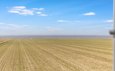 Freja - 12Km from the Sea: Landgoed, Schaduw, Oprit, Boerderij