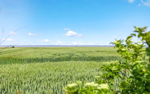 Freja - 12Km from the Sea: Landgoed, Schaduw, Oprit, Boerderij